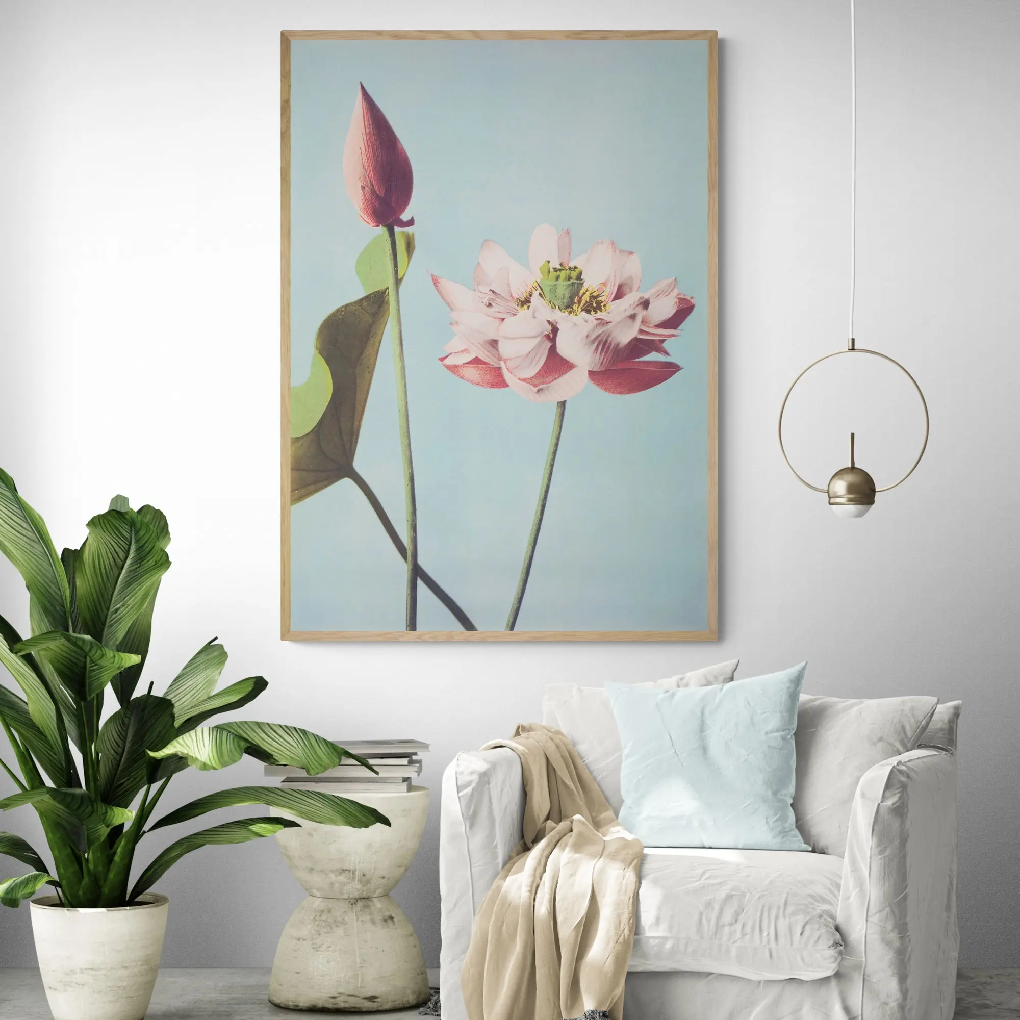 Japanese Lotus Flowers by Ogawa Kazumasa - Image 2